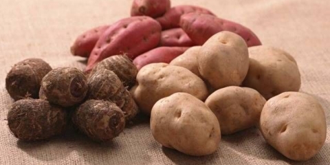 Lunarni kalendar sadnje krompira u maju 2021